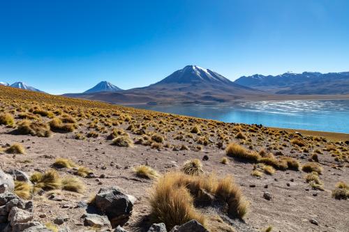 Atacama Desert